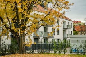 How AI Is Changing Property Valuation and Market Forecasts