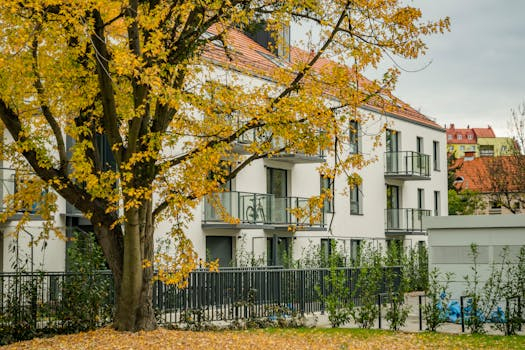 How AI Is Changing Property Valuation and Market Forecasts