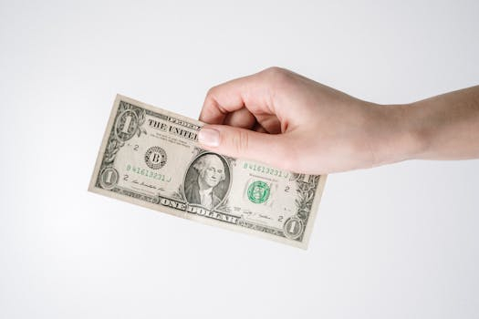 The Growth of Buy Now, Pay Later Payment Options