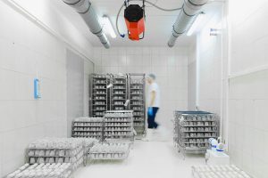 Supply Chain Resilience: Lessons from Recent Disruptions