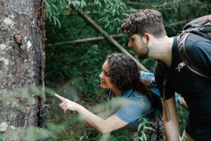 Best Hiking Destinations for Outdoor Enthusiasts