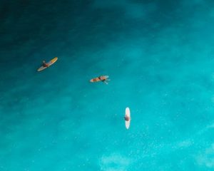 Traveling for Sports: Top Destinations for Fans